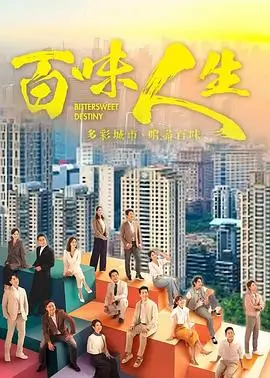 雾港回响 热播电视剧全集